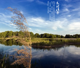 新義水鄉(xiāng)中醫(yī)藥浴康養(yǎng)、黃龍溪古鎮(zhèn)二日游